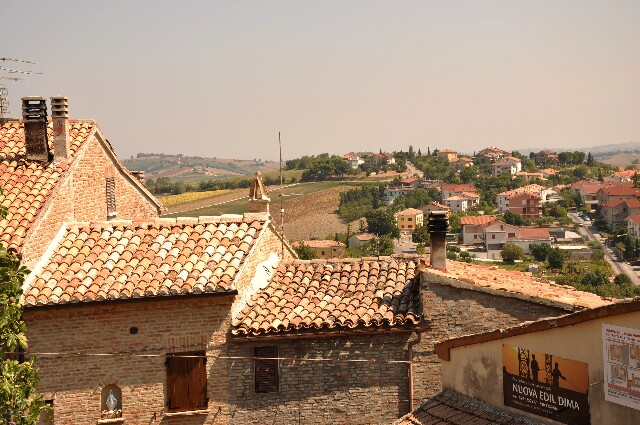 min 2009 08 22 orciano 061